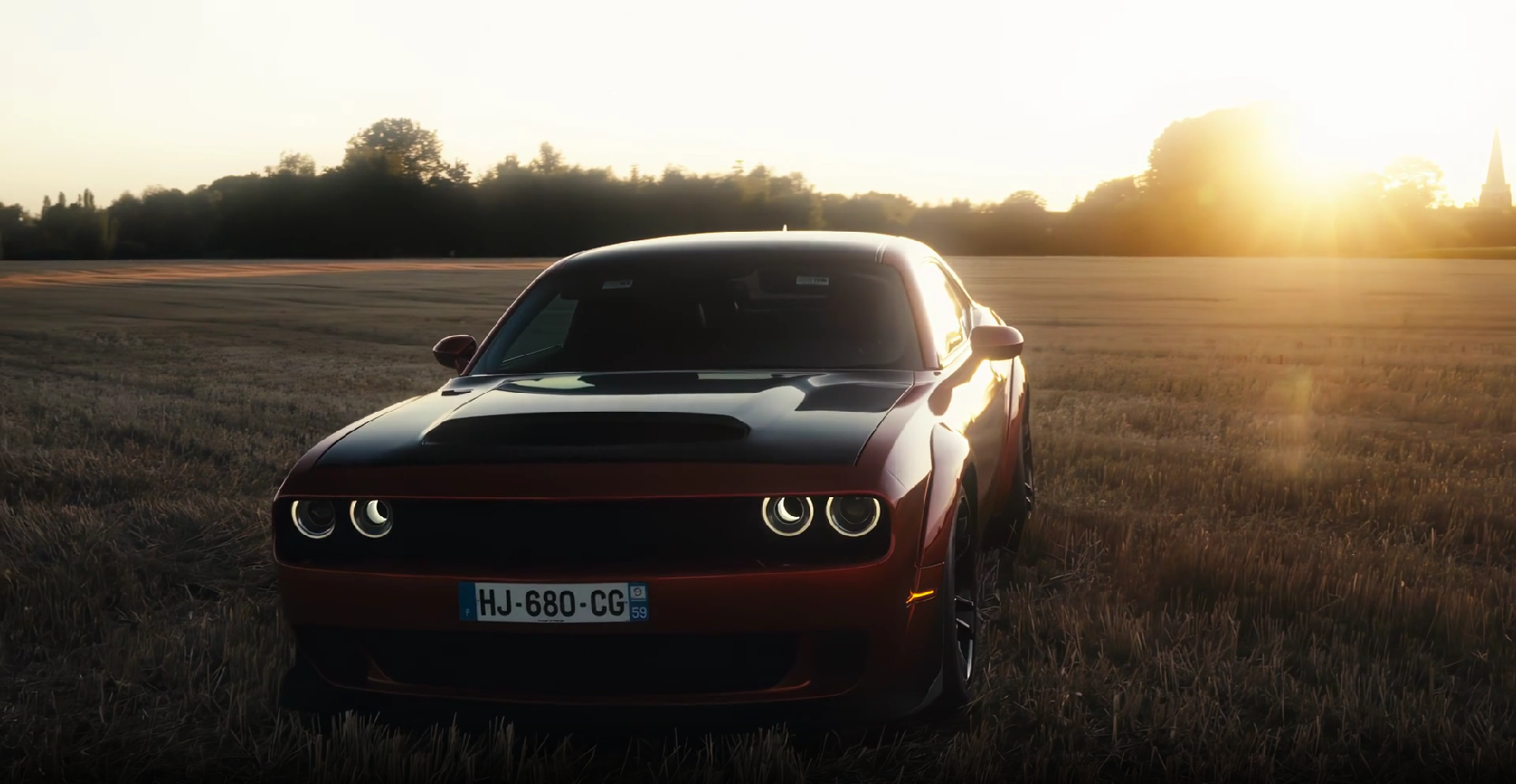 Dodge rouge dans un champ